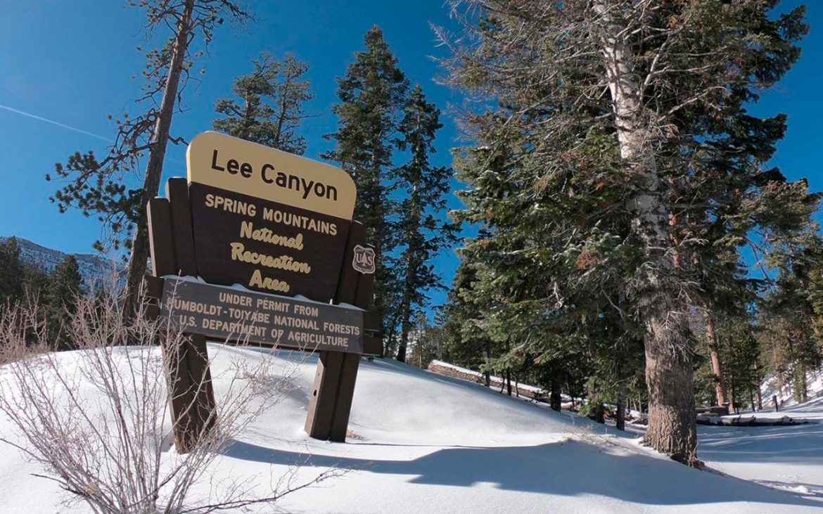 Lee Canyon Las Vegas: vale a pena conhecer esse destino de neve?